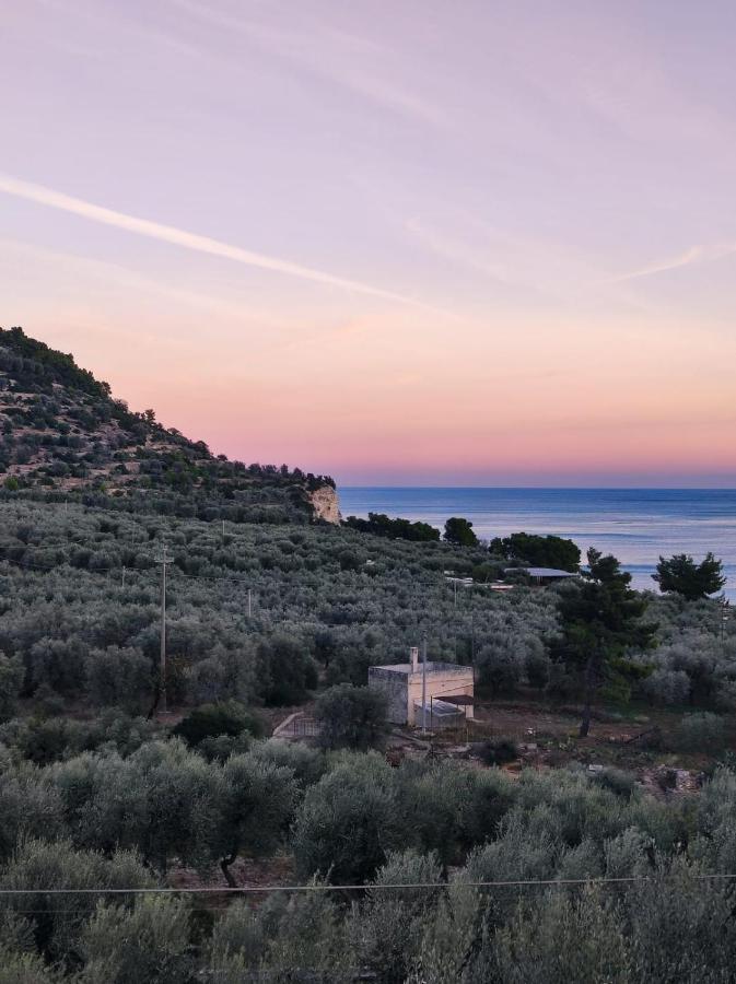 Dimora Mediterranea Mattinata Exterior photo